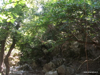 ldaia del Drago19-07-2015 11-38-49